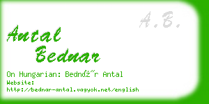 antal bednar business card